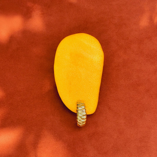 IV.The Salt of the Earth