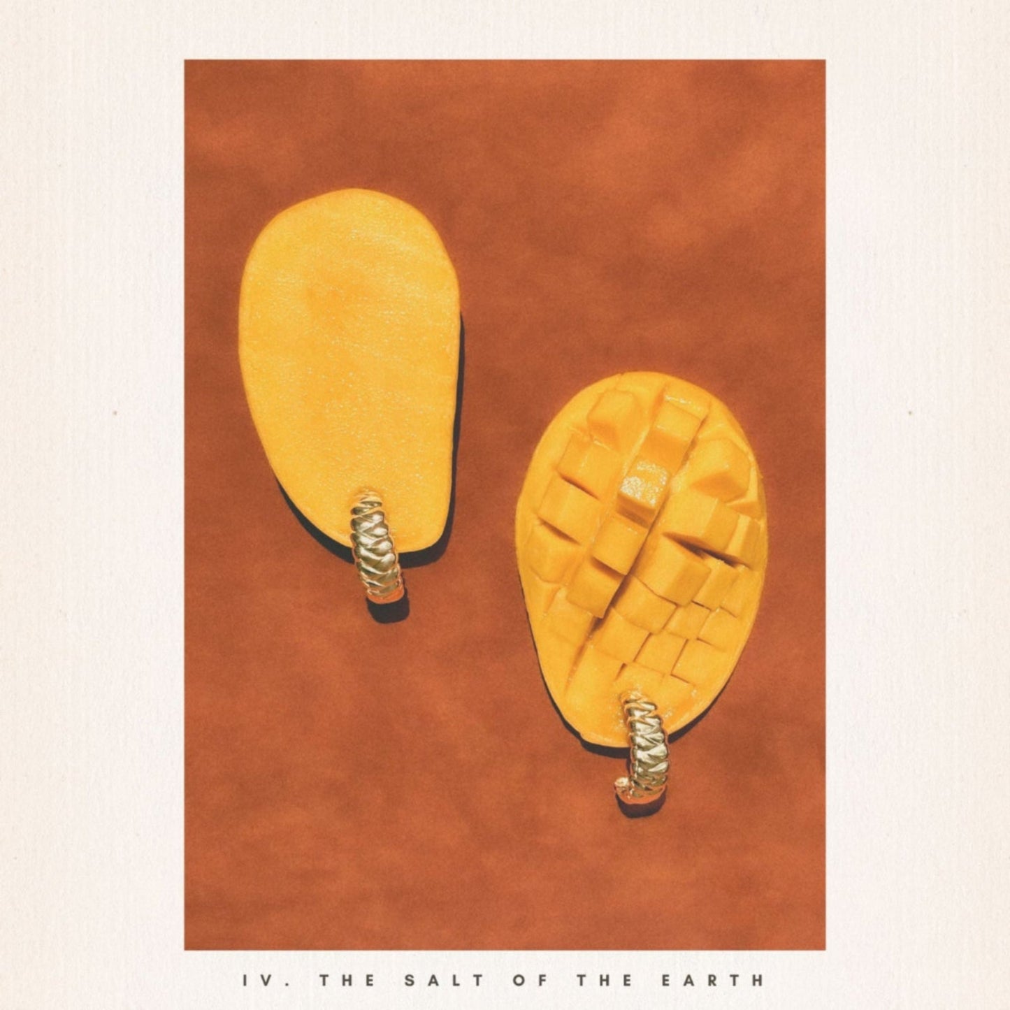 IV.The Salt of the Earth