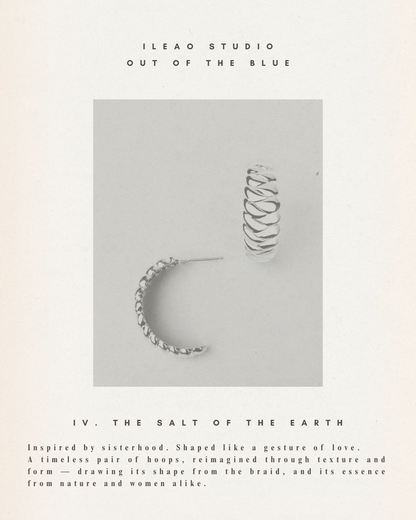 IV.The Salt of the Earth